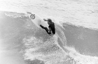 shane-herring-700x525