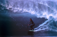 Cronulla-Surf-Museum-025