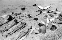 gangSurfers_boys_girls_Lorne_1975